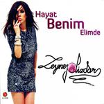 Hayat Benim Elimde专辑