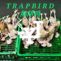 陷阱鸡 Trap Bird - Prod.By Jimmy-30K