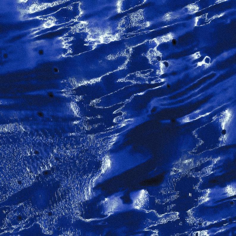 butterfly dance丨蝴蝶舞步