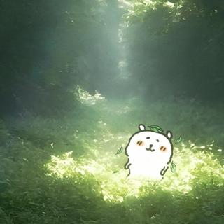春意十四行 | 巴洛克流行乐章