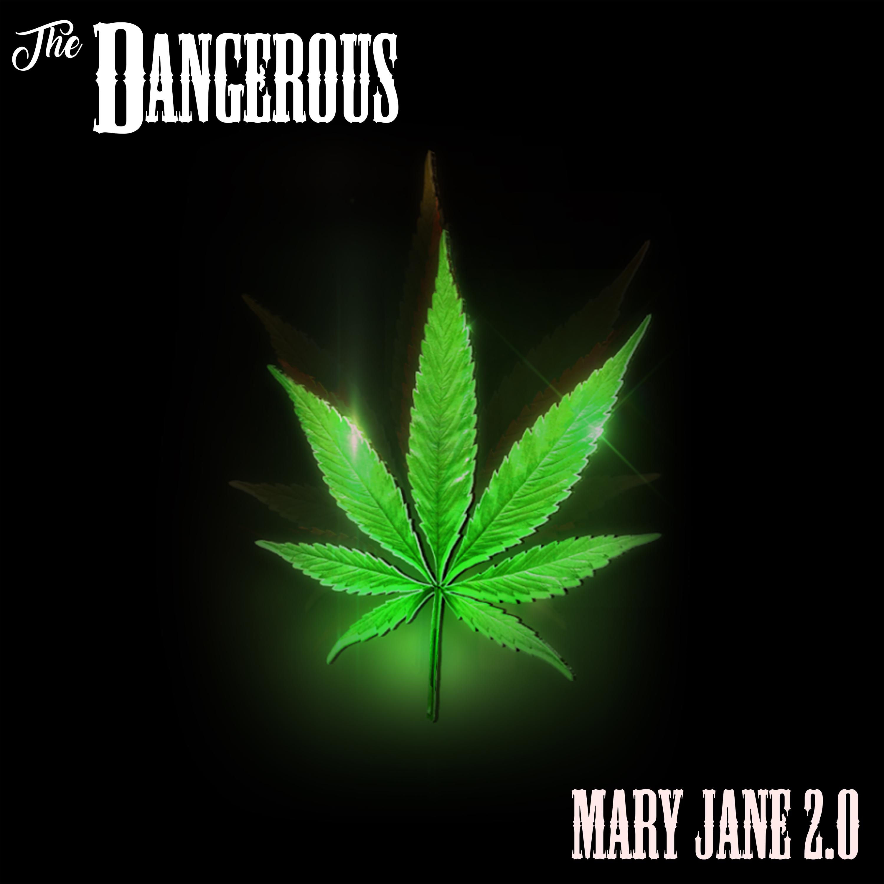 Mary Jane 2.0