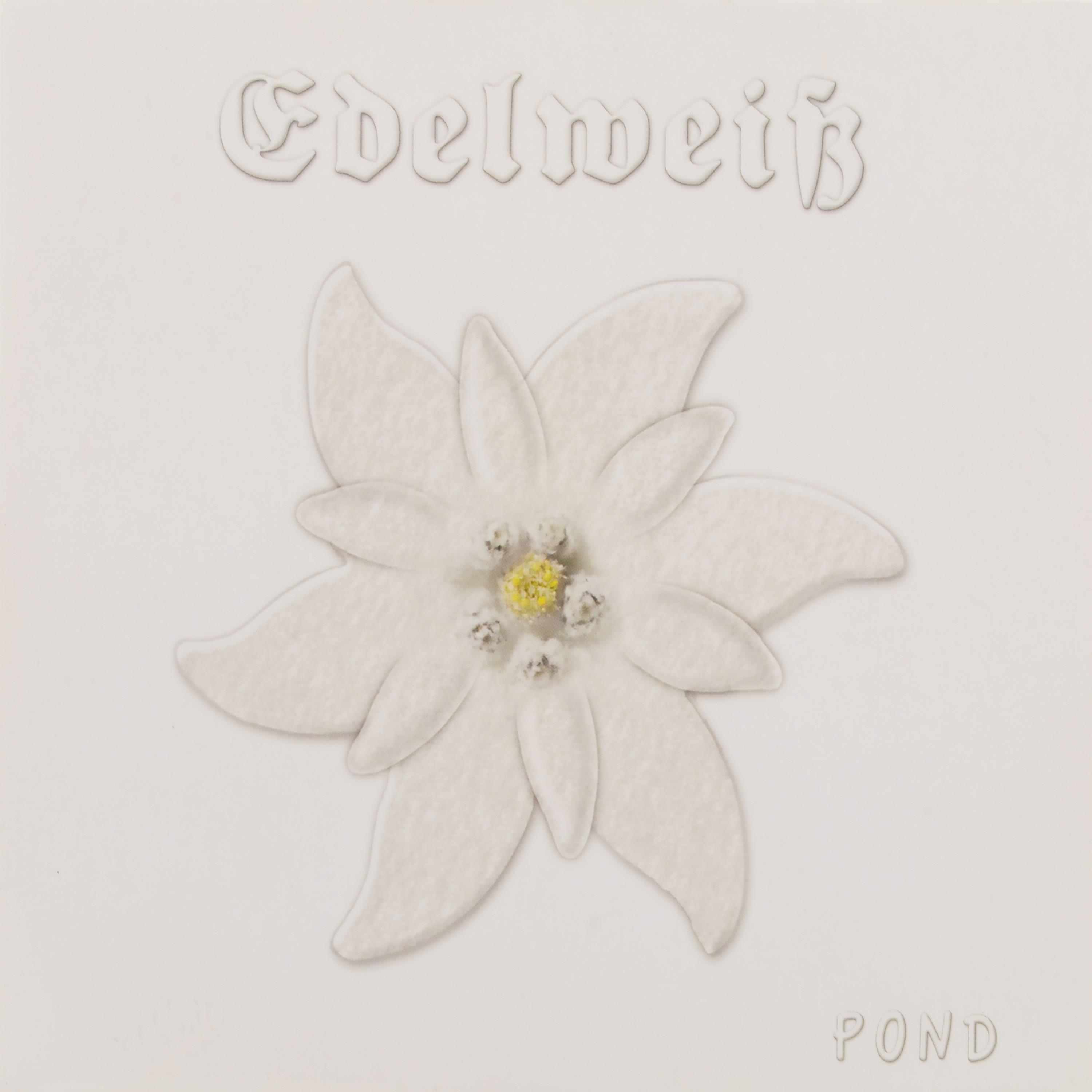 Edelweiß