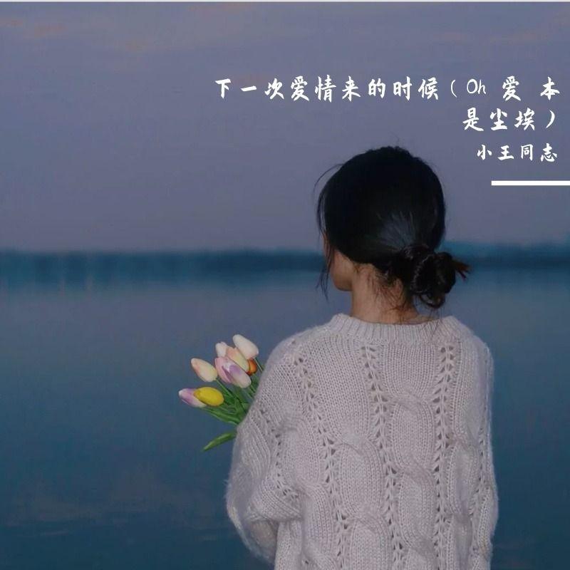 下一次爱情来的时候 （抖音热播版）