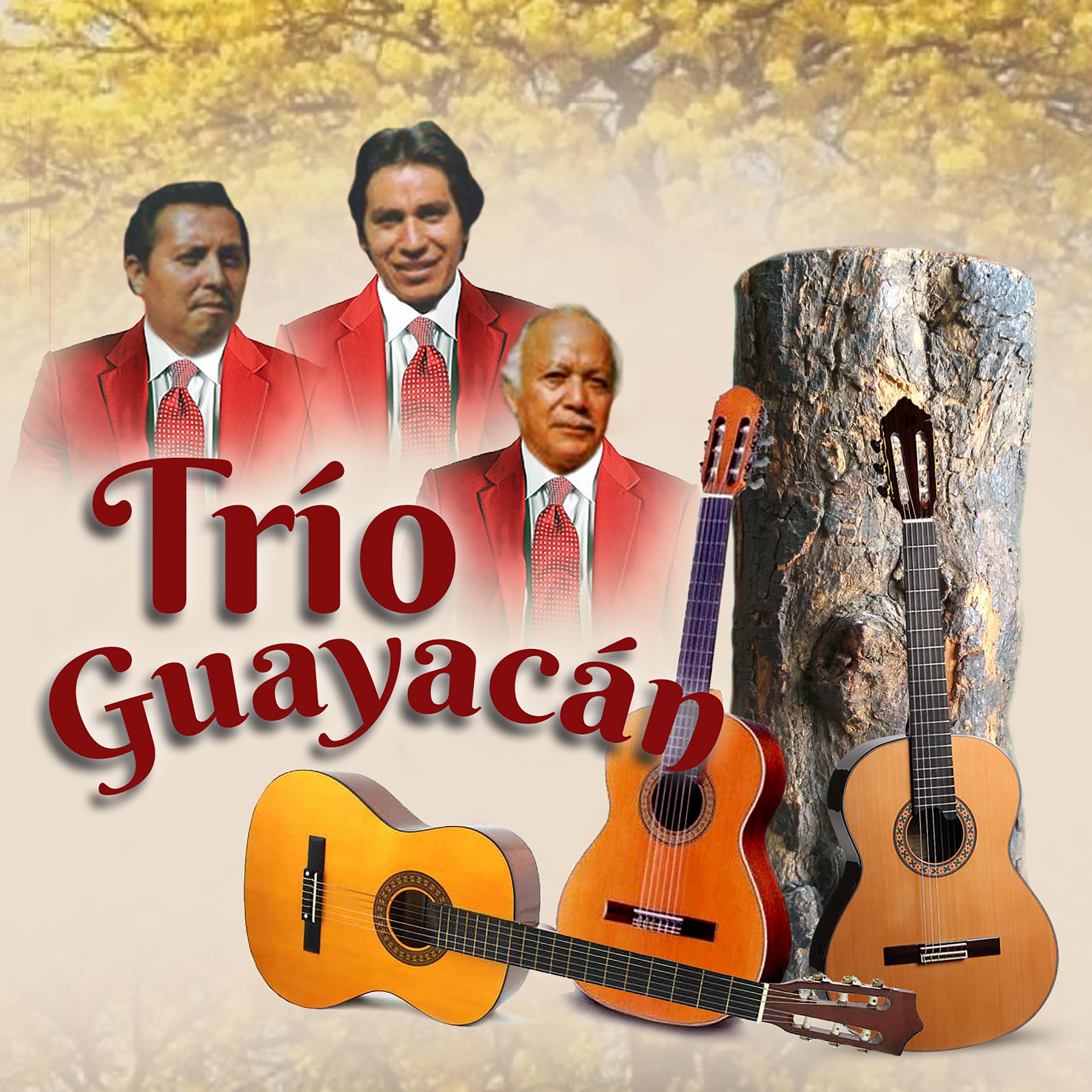 Trio Guayacan - Presentimiento