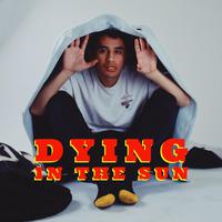 dying in the sun （原版立体声）
