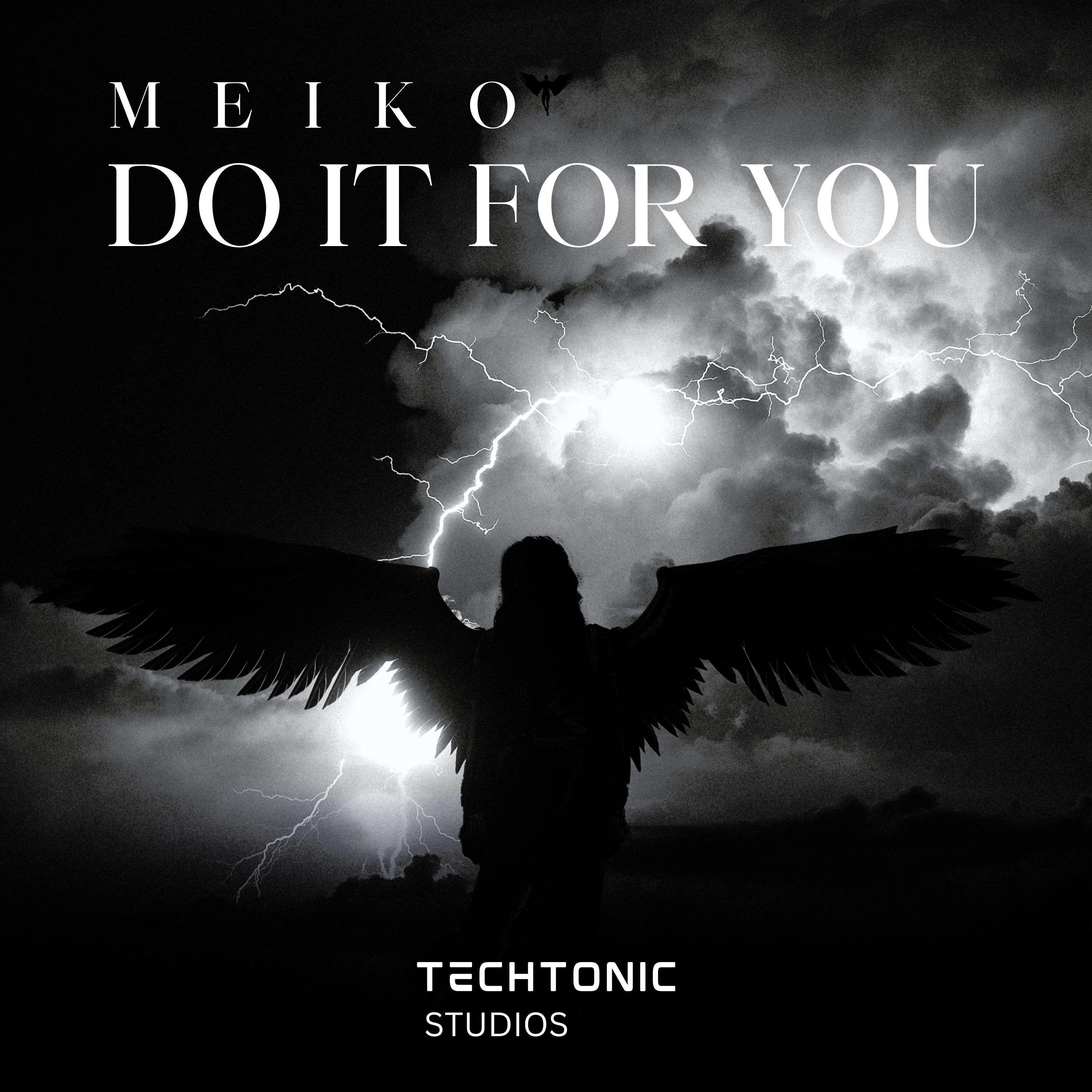 Meiko - Do It For You (Original mix)