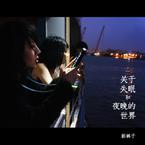 专辑《关于失眠和夜晚的世界》