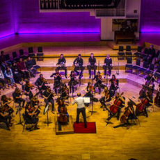 Manchester Camerata