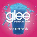 Isn't She Lovely (Glee Cast Version)专辑