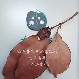 唱给你听i