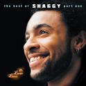 Mr Lover Lover - The Best Of Shaggy... (Part 1)专辑