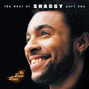 Mr Lover Lover - The Best Of Shaggy... (Part 1)专辑