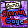 A Night with Marvin Gaye (Live)