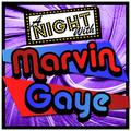 A Night with Marvin Gaye (Live)