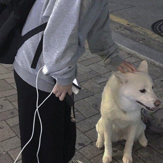 怎么了封面