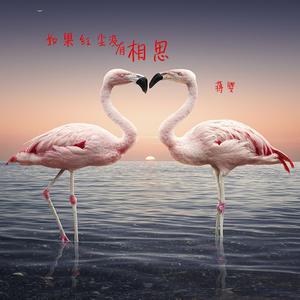 蒋婴 - 红尘劫(原版立体声伴奏)版本2 （升3半音）