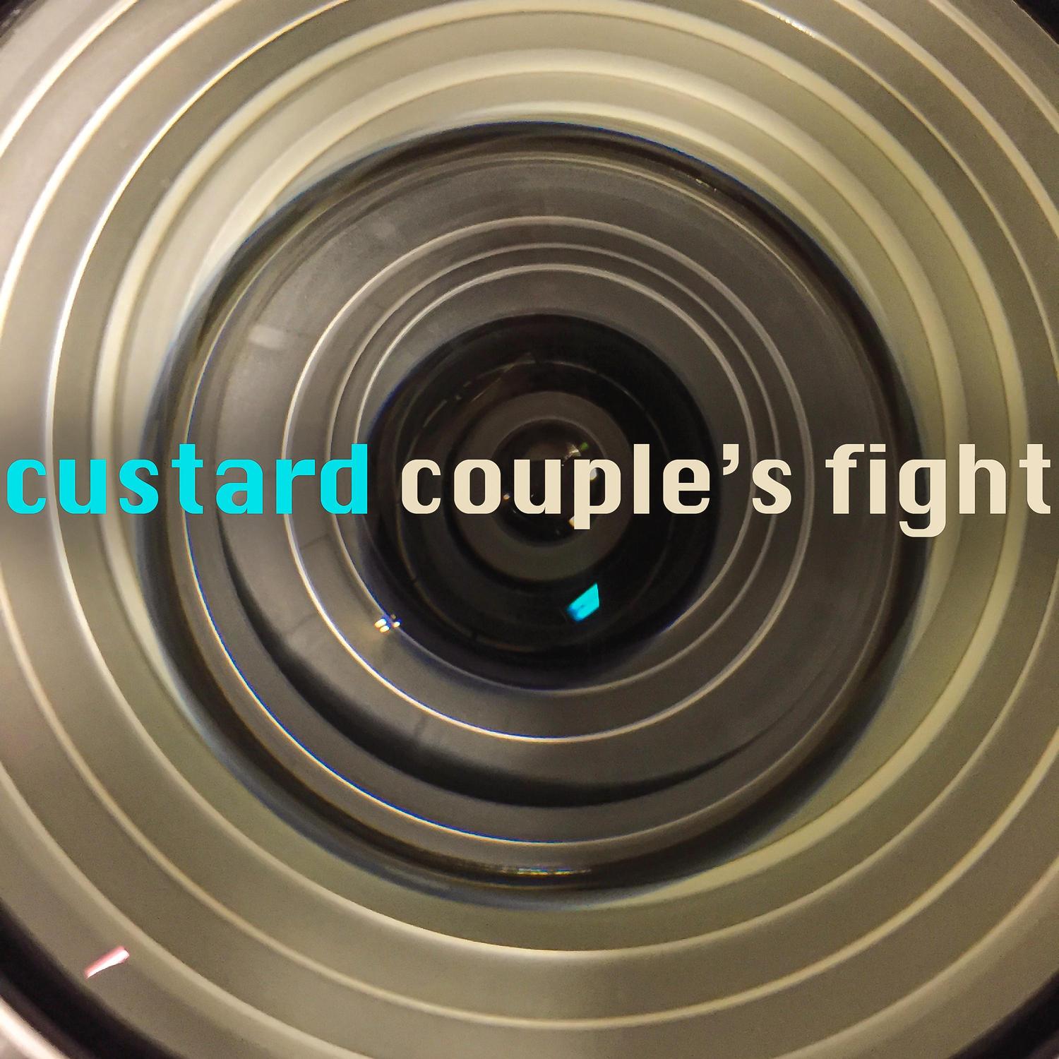 Couple's Fight