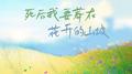 死后我要葬在花开的山坡专辑