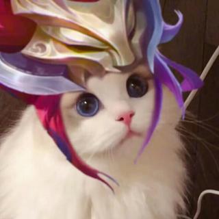 电光耗子专属《BGM》