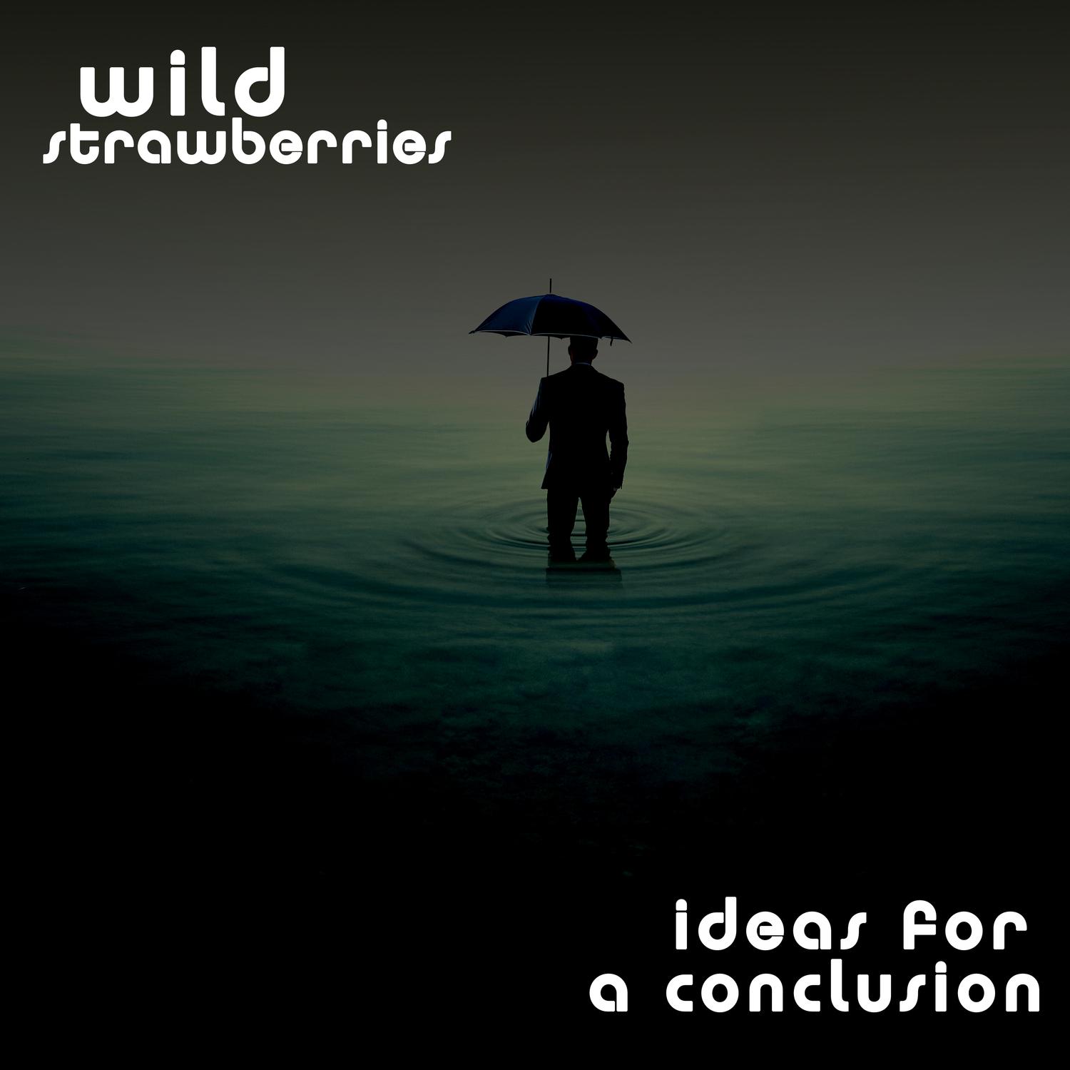 Ideas for a Conclusion