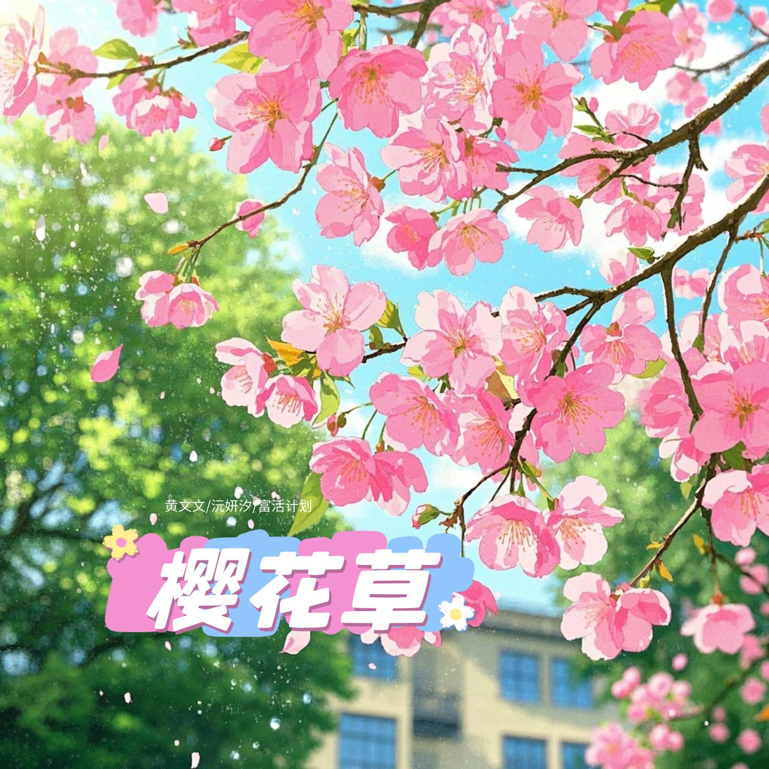 樱花草
