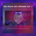Big Room Set Ultimate vol. 7 (Continuous Mix)专辑