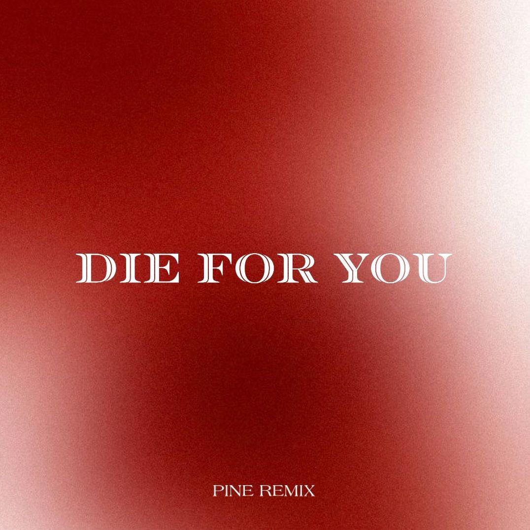 DIE FOR YOU