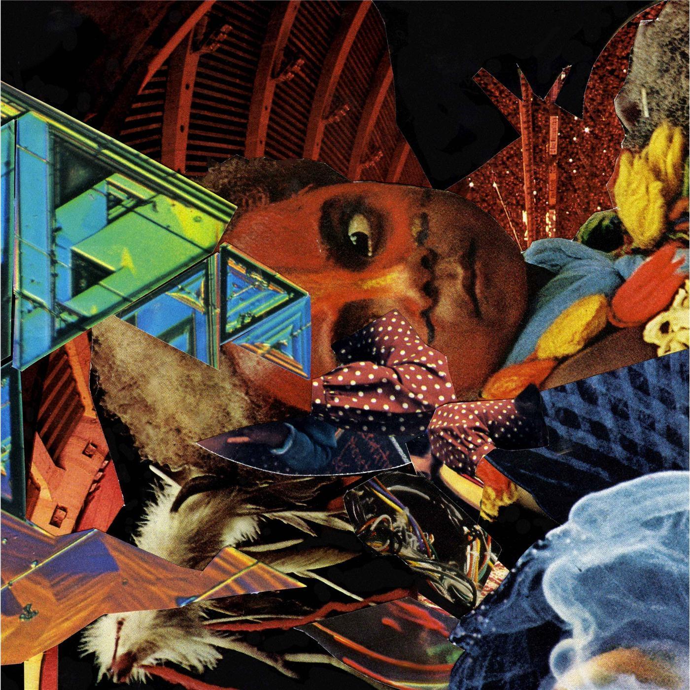 The Apple That Never Fell