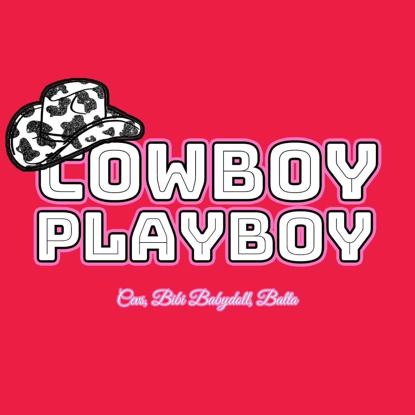 Cowboy Playboy (feat. Bibi Babydoll & Balta)