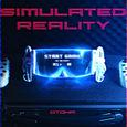 Simulated Reality