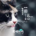 爱猫之城