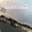 Never Say Goodbye ~Our Own Memories~专辑