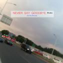 Never Say Goodbye ~Our Own Memories~专辑