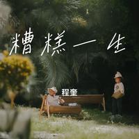 糟糕一生