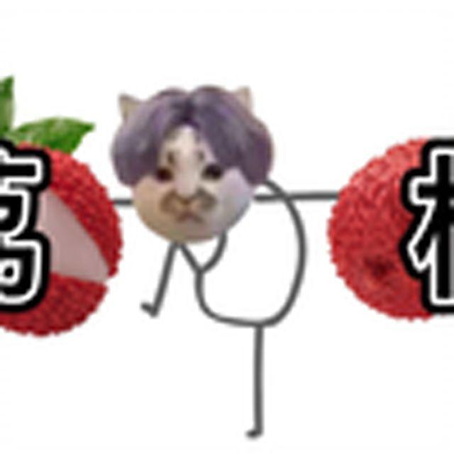 荔枝之地日