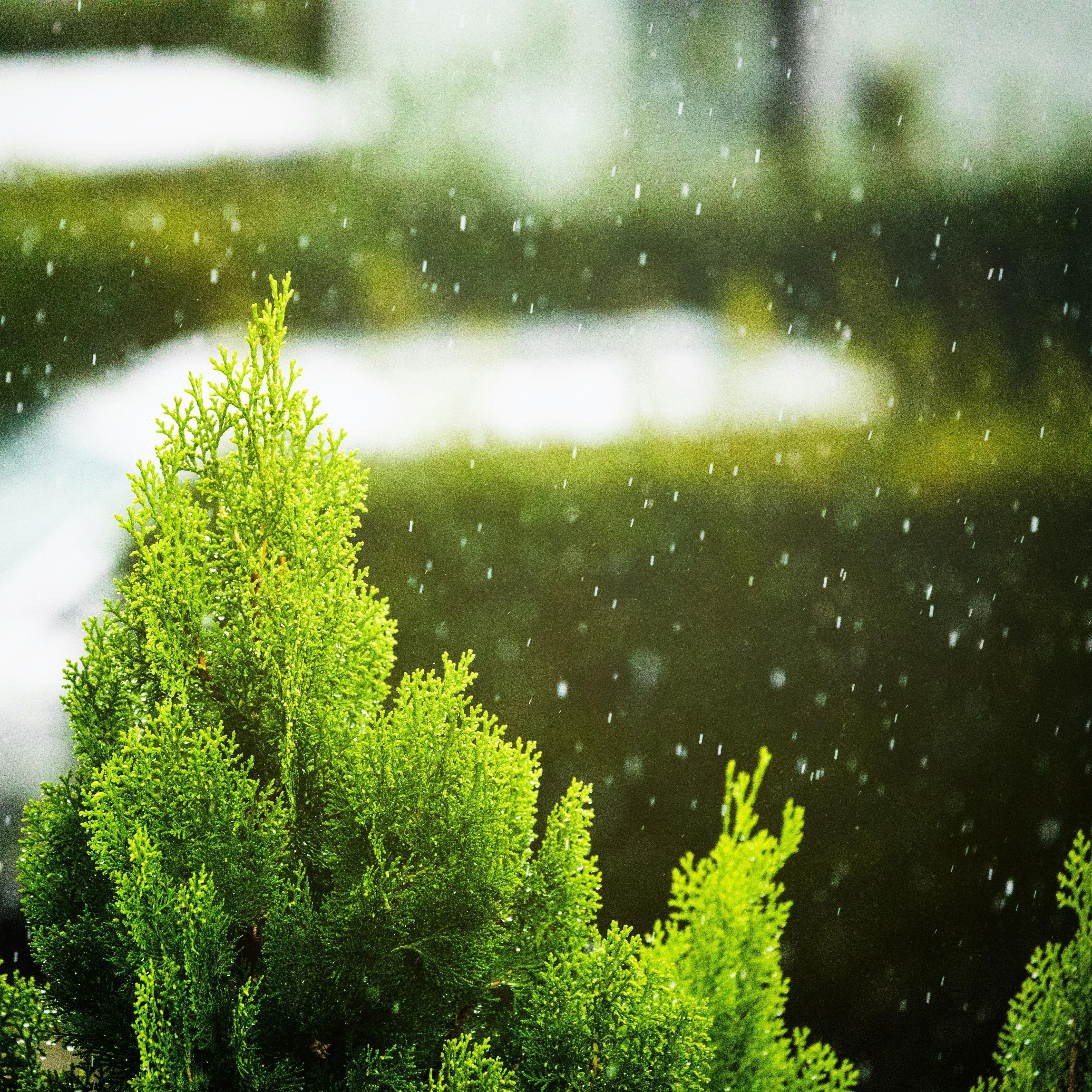 晴雨（纯音乐）