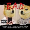 BIG ASS DOGE - Big Ass Doge To Da Top (feat. Lil Zeszty & LiaBrr)