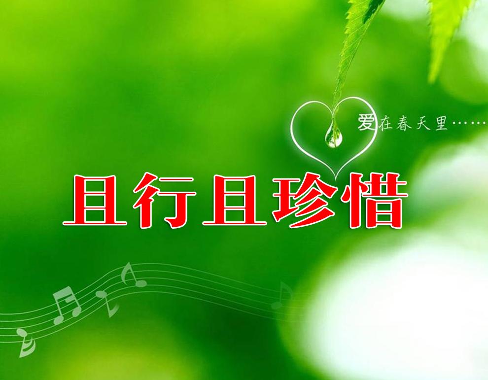 且行且珍惜