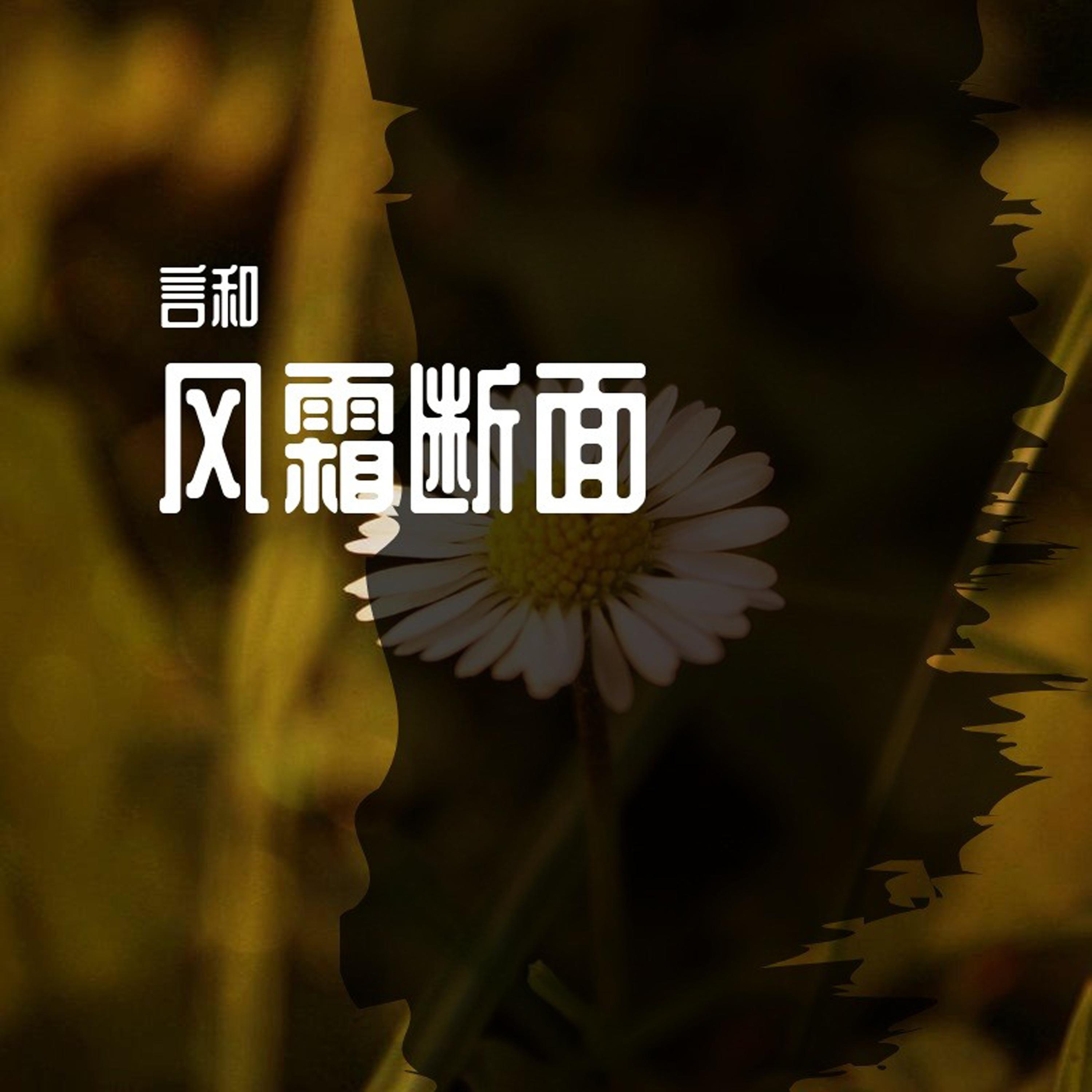 风霜断面