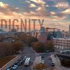 Jony Friedman - Dignity
