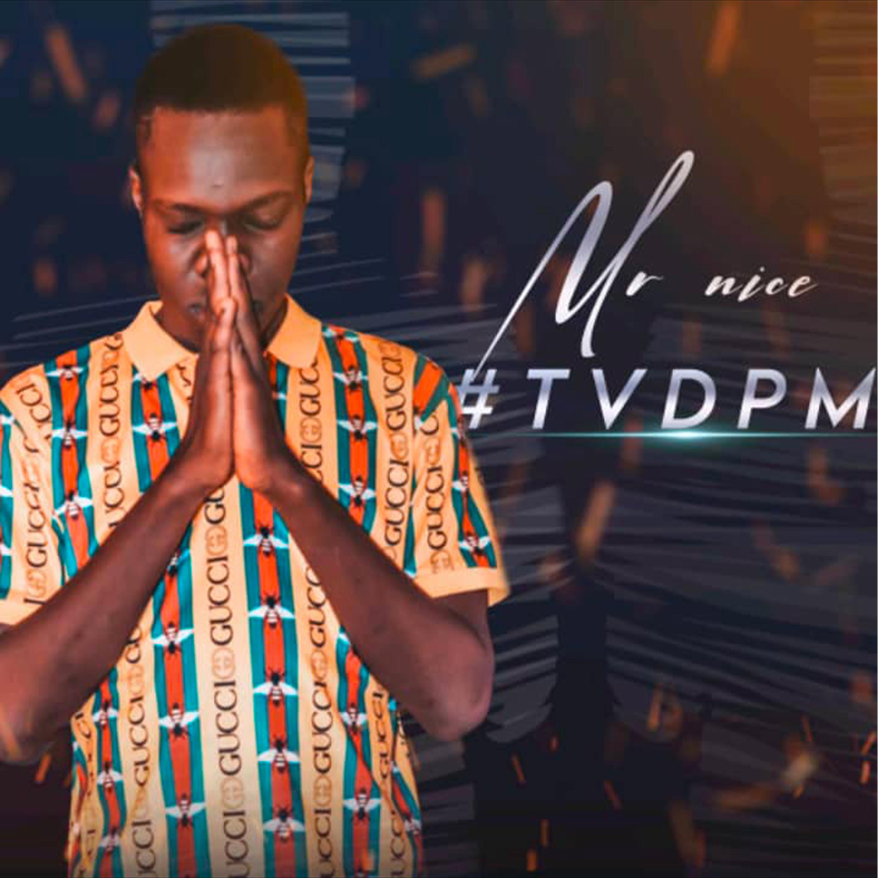 TVDPM