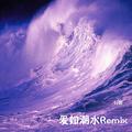 爱如潮水remix