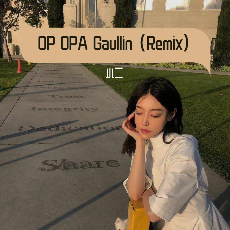 Gaullin-OP OPA Gaullin (Remix)（小二 remix）