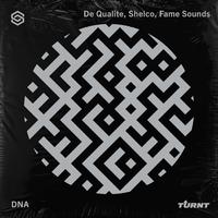 De Qualite Feat. Shelco & Fame Sounds - Dna (Clean) 128