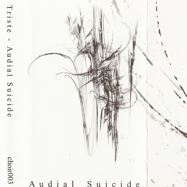 Audial Suicide