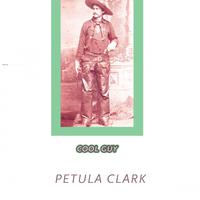 My Guy - Petula Clark (unofficial Instrumental)