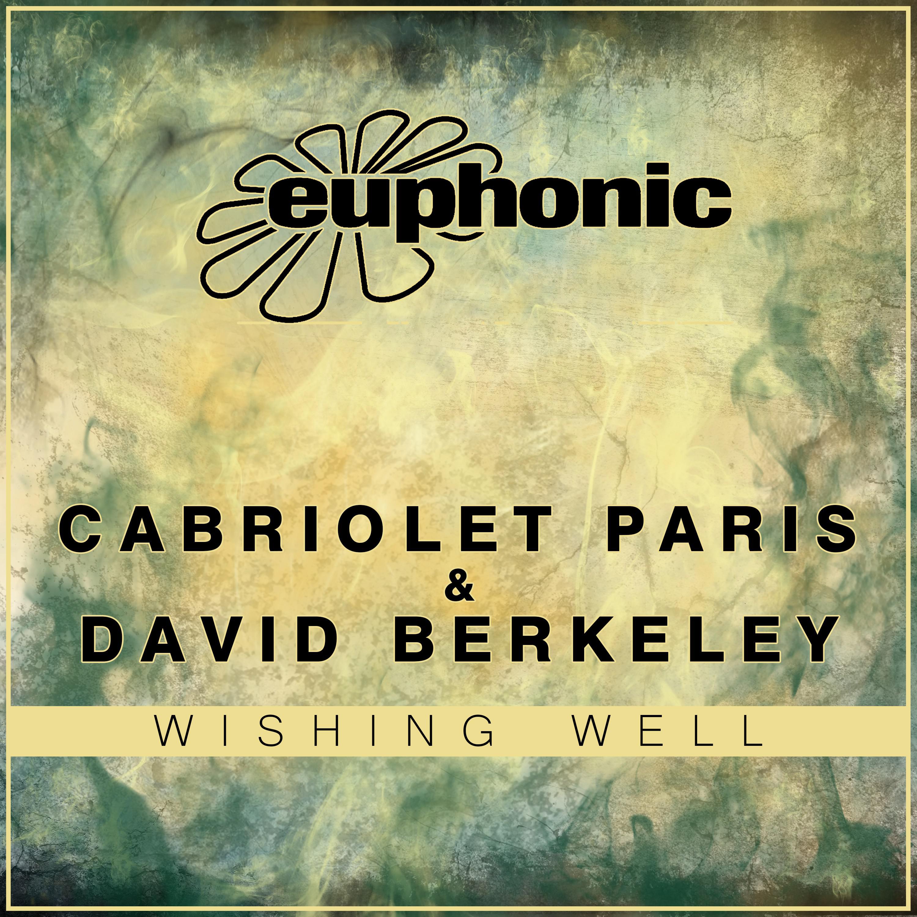 David Berkeley - Wishing Well (Stoneface & Terminal Radio Edit)