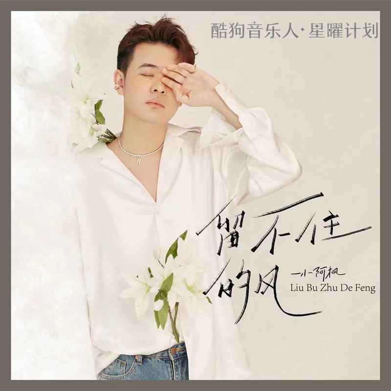 小阿枫歌曲封面
