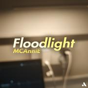 Floodlight（探照灯）
