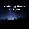 Calming Music at Night专辑